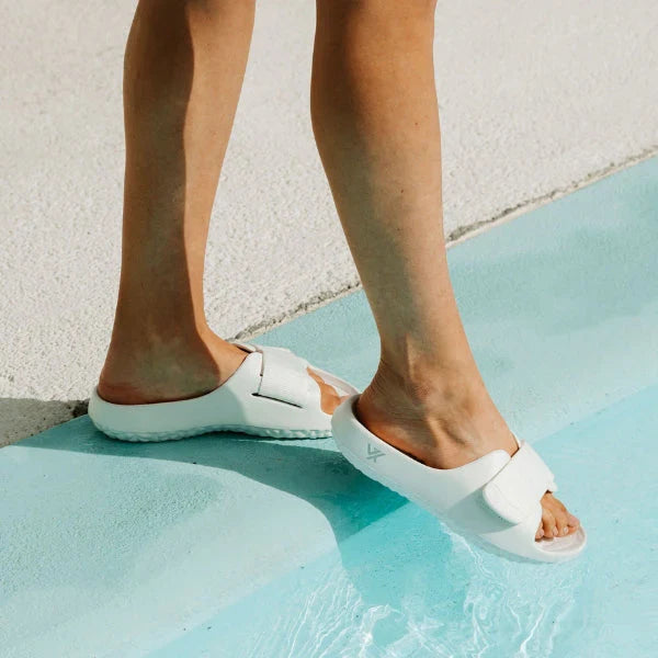 All Slides